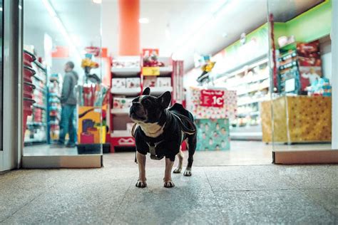 petsmart stock price today.